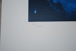 Henk Eikenaar - *Biorientation* - grote abstracte zeefdruk uit 1993 kopen? Bied vanaf 65!