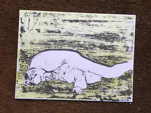 Koen Vermeule - De kreeftgang en andere bewegingen, Signature XII, cassette + 6 kleurhoutsneden kopen? Bied vanaf 400!