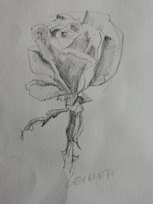 Peter Vos - Metten Koornstra, Paul Citroen. En nog veel meer. kopen? Bied vanaf 39!