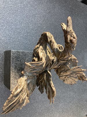 Theo Lenartz - Opgejaagd kopen? Bied vanaf 550!