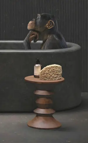 Mr Strange - Zijn of niet zijn (II) kopen? Bied vanaf 80!