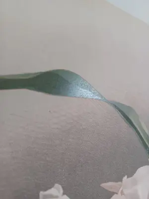 Henry George Moon - Originele Chromolithografie ‘Reichenbachia’ 1888 kopen? Bied vanaf 85!