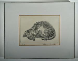 Ella van Schaik - slapende kitten kopen? Bied vanaf 15!