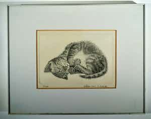 Ella van Schaik - slapende kitten verkocht voor € 15!