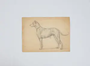 Otto Eerelman - Schets van een hond kopen? Bied vanaf 200!