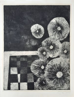 Jan Bernard Meinen - Zwevende Zaadbollen ETS ingelijst - 21976 kopen? Bied vanaf 35!