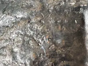 Judith Braun - Zeer fraai vormgegeven sculptuur van vijf mensfiguren die samen een muur vormen kopen? Bied vanaf 100!