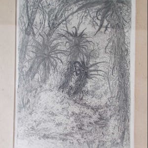 Jan Coenraad Nachenius - Bosgezicht met aloës in Zuid-Afrika - 1921/1922 kopen? Bied vanaf 50!