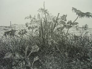 Willem Minderman - WILDE PLANTEN EN KASTEEL kopen? Bied vanaf 60!