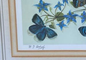 Hans Verhoef - A8341-4, Stilleven met blauwpaarse vlinders kopen? Bied vanaf 75!