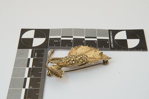 1228- Chique 1e geh. zilver en vergulde Broche/Speld "Herfstblad" gekeurd kopen? Bied vanaf 32!