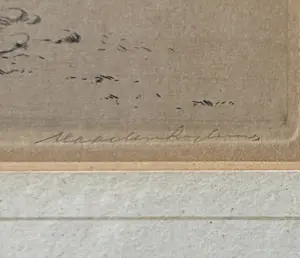 Maarten Langbroek - Bonte Piet (scholekster) kopen? Bied vanaf 49!