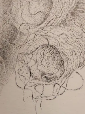 Robert Franken - A Fable kopen? Bied vanaf 20!