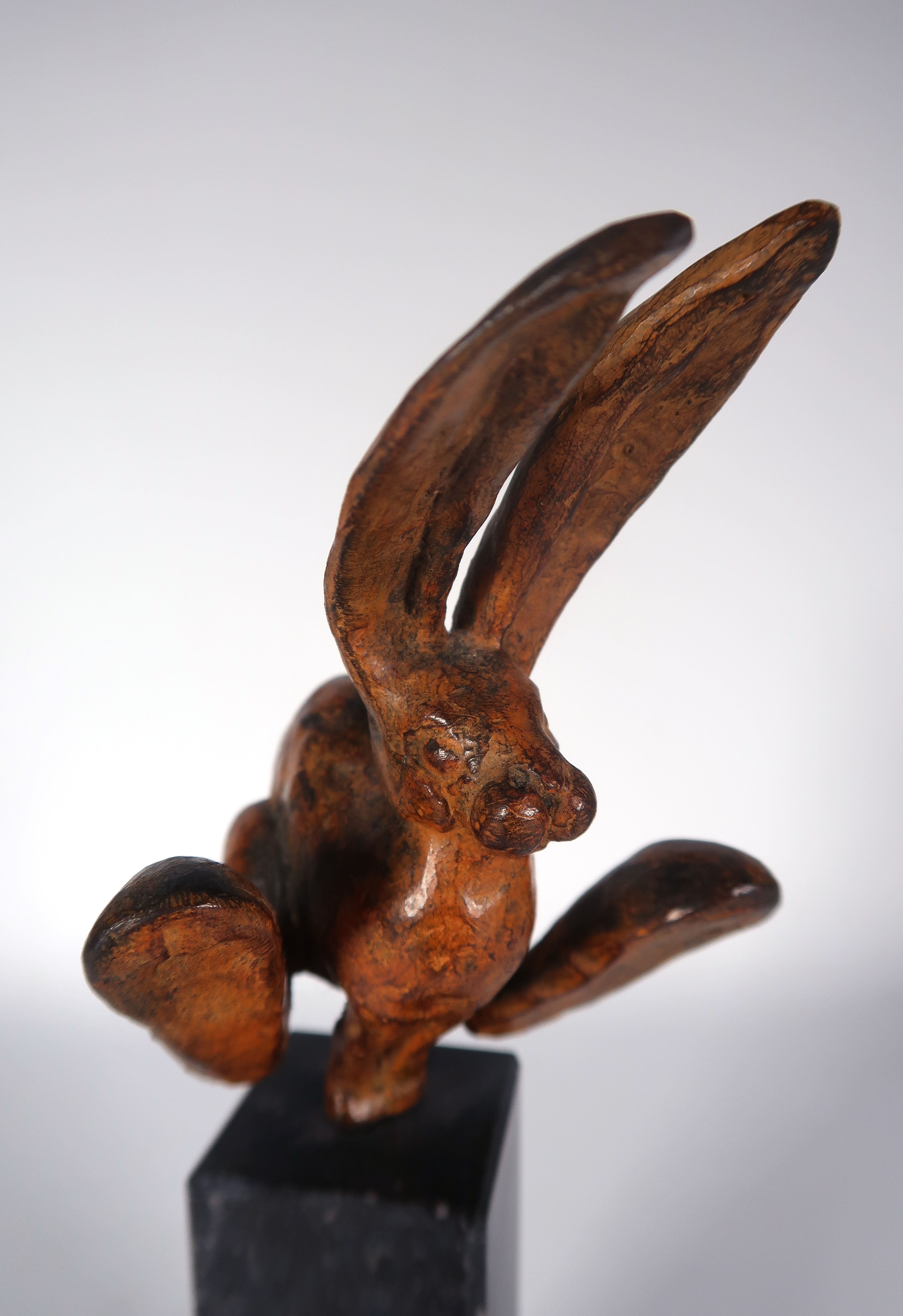 Mohana van den Kroonenberg - Brons en graniet, Haas op sokkel kopen? Bied vanaf 150!