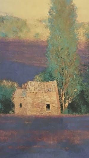 Niet of onleesbaar gesigneerd - Cypressen kopen? Bied vanaf 1!