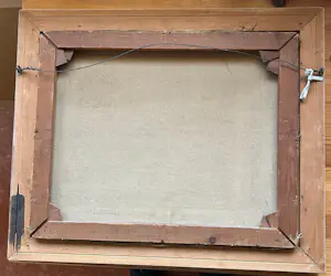 Henriette Hubregtse-Lanzing - Boerderijtje met kippen kopen? Bied vanaf 75!