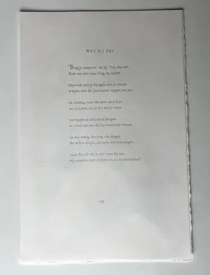 Reinhoud D'Haese - "Wat zij zei" - kleurenets kopen? Bied vanaf 185!