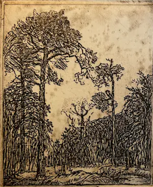 Theo Goedvriend - Door de bomen het bos - vijfzes etsen kopen? Bied vanaf 50!