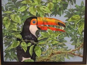 Ari Stolk - REUZENTOEKAN - Ramphastos Toco kopen? Bied vanaf 339!