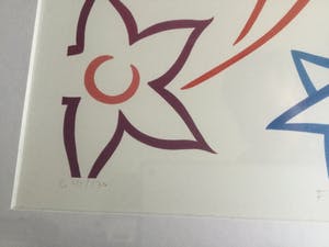 Donna Corbani - Flower Power | mooi ingelijste zeefdruk (41/130) - nieuwstaat kopen? Bied vanaf 49!