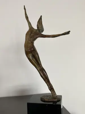 Corry Ammerlaan - Vreugdedans kopen? Bied vanaf 119!