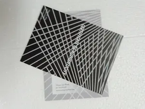 Wiesje van Dam - Volleyball kopen? Bied vanaf 49!