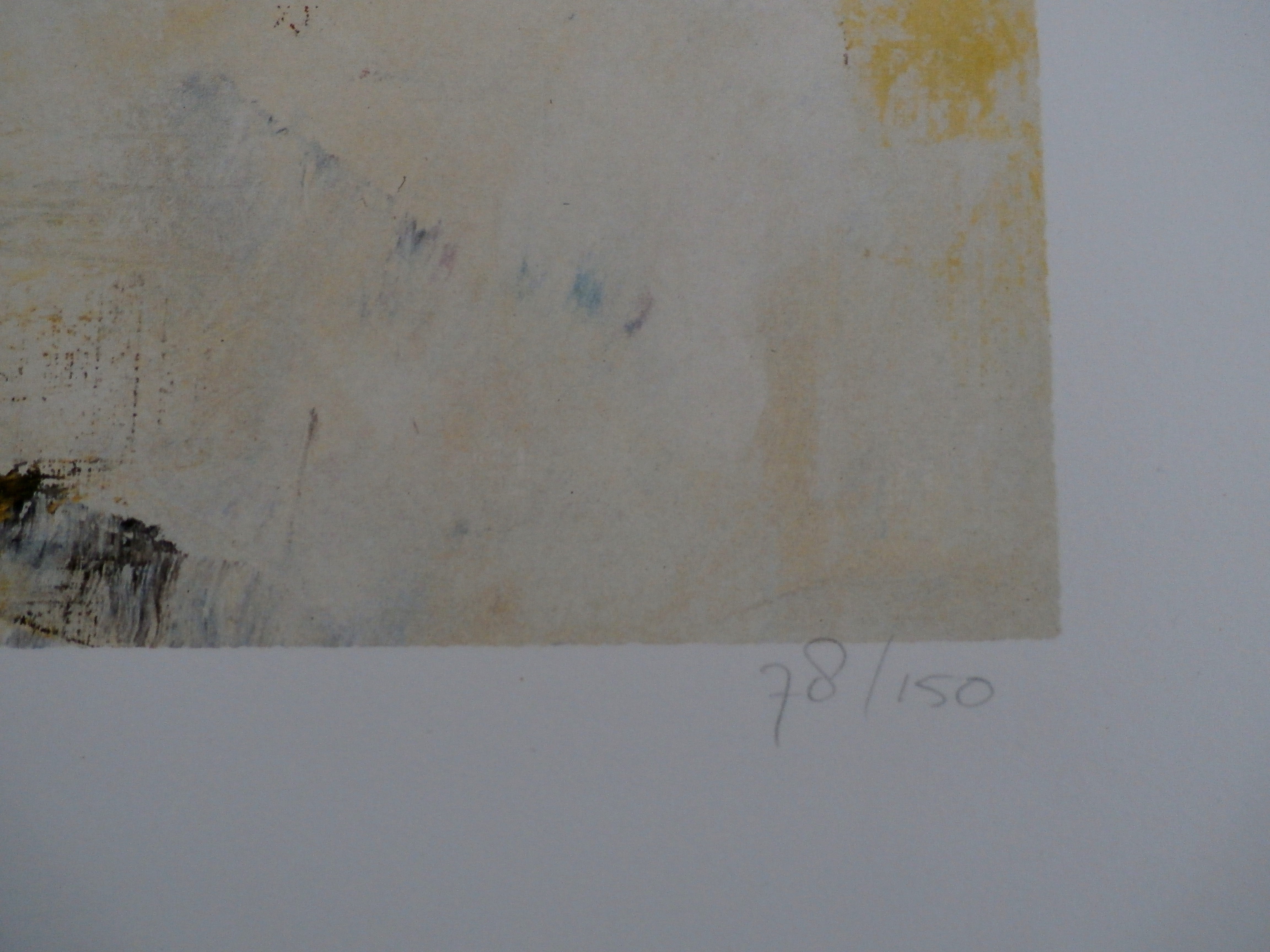 Charlotte Molenkamp - zeefdruk: kat kopen? Bied vanaf 75!