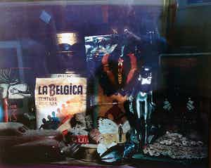 Wijnand van Lieshout - Walk on the wild side -1993- verkocht voor € 55!