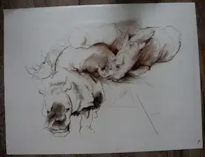 Ru van Rossem - Krijttekening: Neushoorns kopen? Bied vanaf 149!
