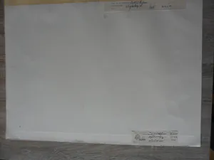 Leo Hofman - Ets, titel, Negev woestijn Israël. kopen? Bied vanaf 15!