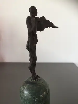 Brons (Onbekend) - Aanvoerder kopen? Bied vanaf 49!