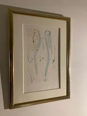 Salvador Dali - - Surrealistische naakten - Ingelijst - " Songs of King Solomon " kopen? Bied vanaf 300!