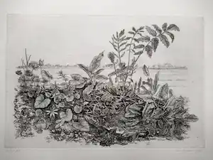 Han van Hagen - 1975 - Onkruid verkauft für € 40!