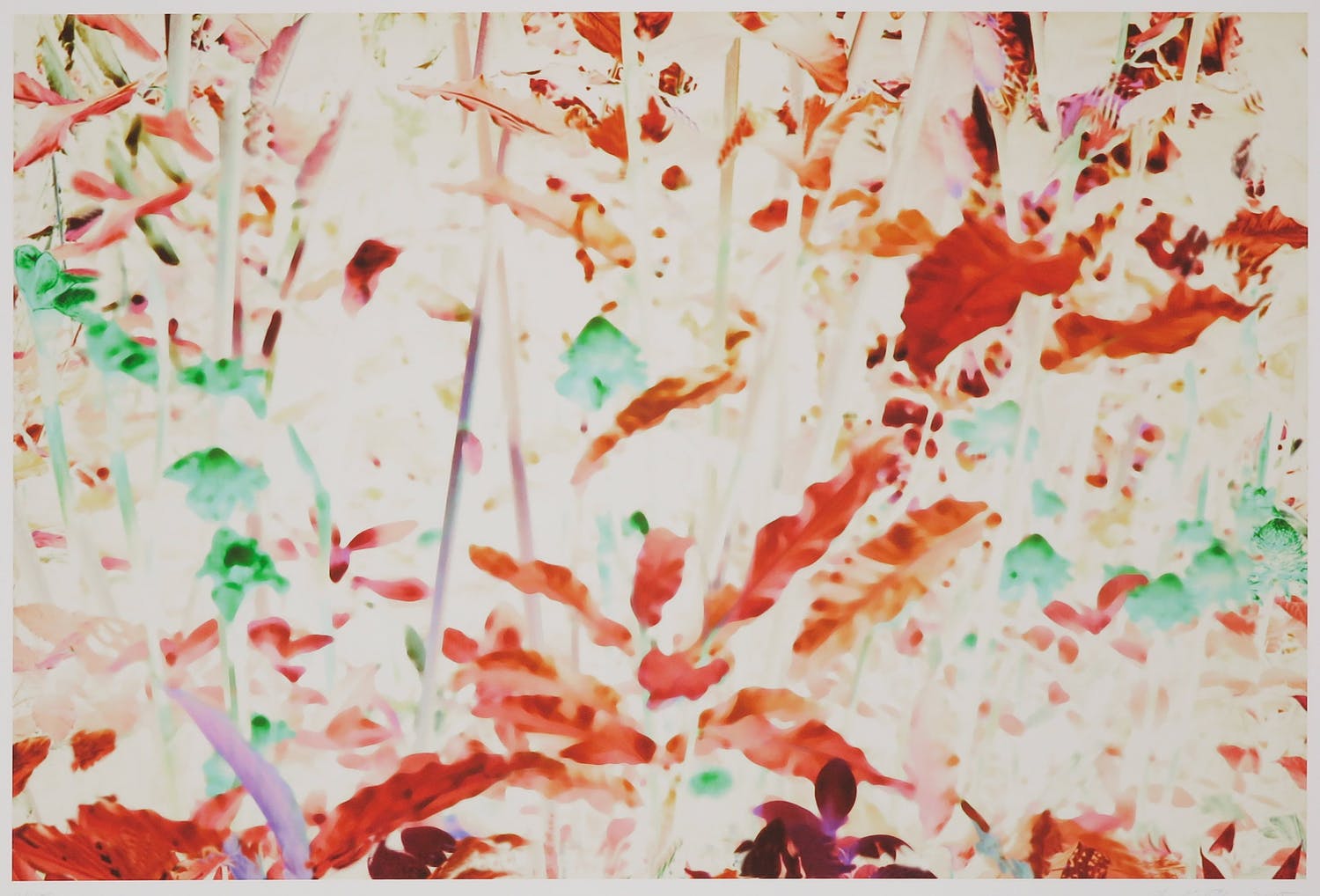 Claudia Kolgen (1957)