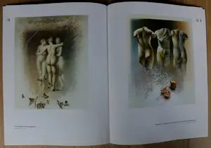 Poen de Wijs - 2 boeken: Schilderijen/''de drie gratiën kopen? Bied vanaf 49!