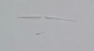 Leentje Linders - Kleurenets, Famous female flyers - Ingelijst (Groot) kopen? Bied vanaf 50!