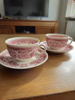 Villeroy en Boch - Burgenland rood kop en schotels- 5x kopen? Bied vanaf 50!