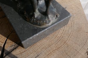 Wim Rijvers - Onbekend kopen? Bied vanaf 150!