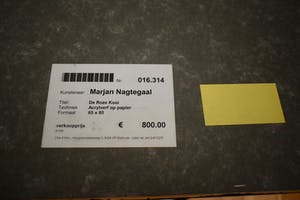 Marjan Nagtegaal - Acryl op paneel, De Roze Kooi - Ingelijst kopen? Bied vanaf 1!
