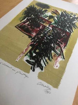 Corneille - Vol d'oiseux au printemps - 1960 kopen? Bied vanaf 350!