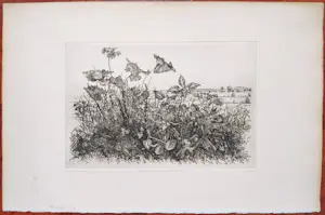 Willem Minderman - Wilde planten met landschap, ets kopen? Bied vanaf 40!