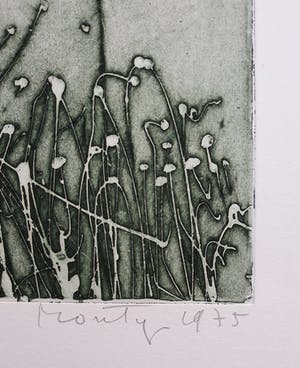 Jan Montyn - Chonyid Bardo - Confrontation, aquatint ets (kleine oplage) kopen? Bied vanaf 115!