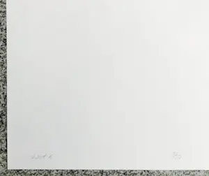 Douglas Allsop - Gesigneerde zeefdruk - 9/50 - 1986 kopen? Bied vanaf 55!