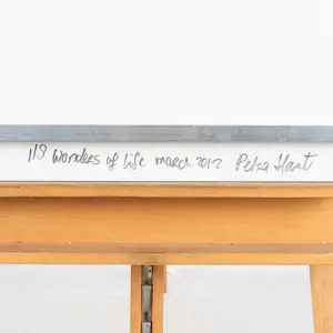 Petra Hart - Wonders of Life kopen? Bied vanaf 1500!