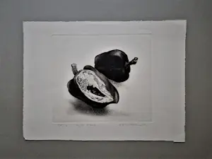 Dick Stolwijk - Fraai gedetailleerde eigen druk Ets "paprika's" oplage 50 - potloodgesigneerd kopen? Bied vanaf 1!