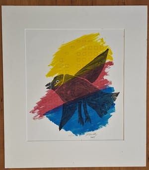 Corneille - vogel kopen? Bied vanaf 335!