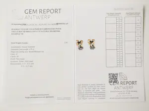 Diamanten oorbellen van 0,70 ct kopen? Bied vanaf 750!