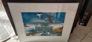 Rolf Weijburg - Ascension island wildlife kopen? Bied vanaf 35!