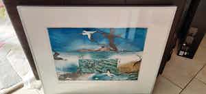 Rolf Weijburg - Ascension island wildlife verkocht voor € 35!