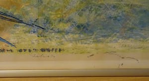 Jan Bezemer - Zebra's kopen? Bied vanaf 45!